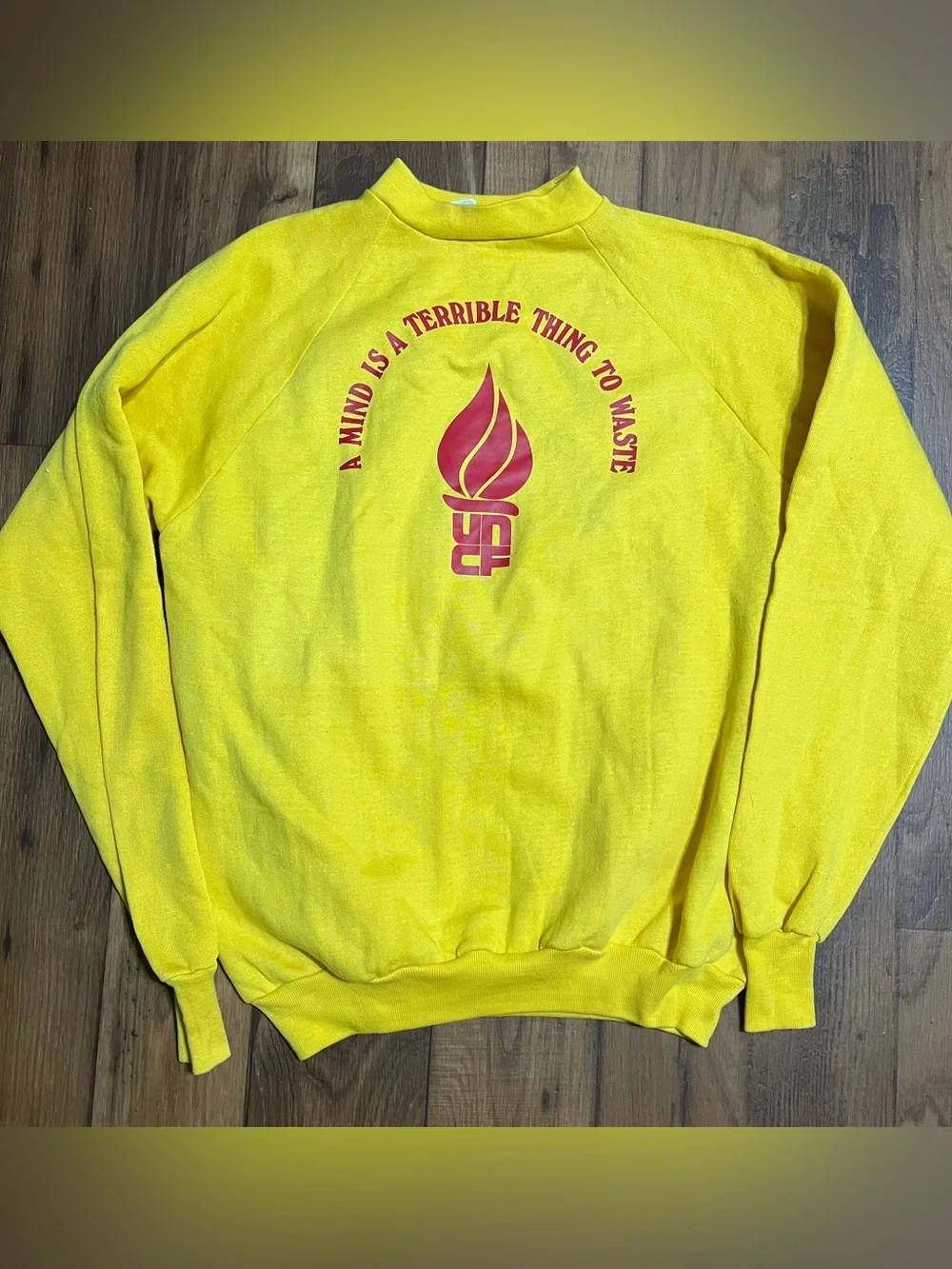 Vintage 1980s Healthknit Raglan Sweatshirt Adult Size XL UNCF College HBCU